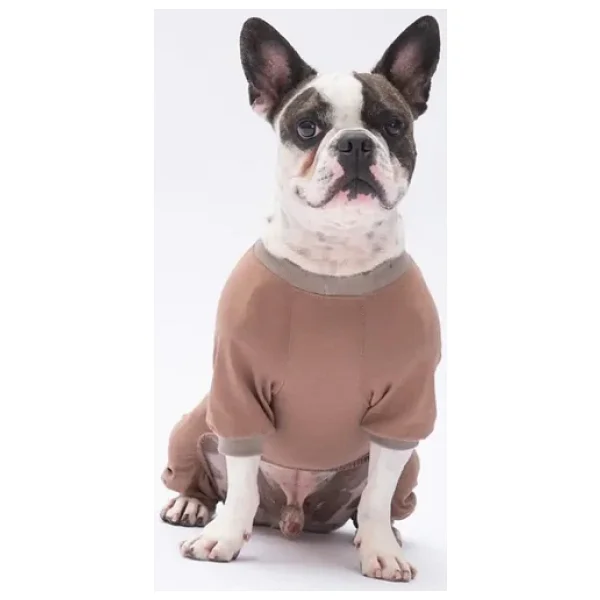 Pawstar Happy Teddy Küçük Irk Köpek Penye Tulum Pijama - Görsel 2