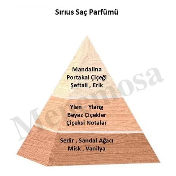 Sırıus Kadın Saç Parfümü Floral 150 ml Edt - MNMS150SRSSP - Görsel 6