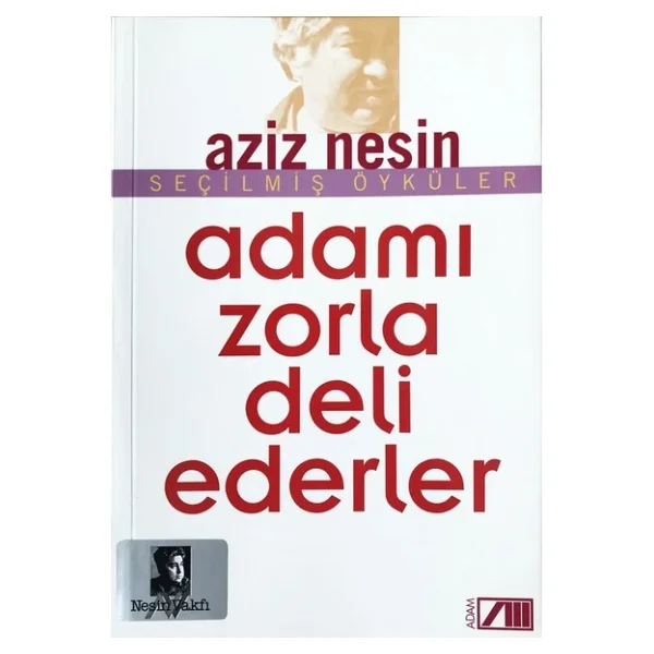 Adamı Zorla Deli Ederler - Aziz Nesin - Görsel 4