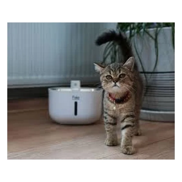Petpard 3 lt Akılı Kedi Su Pınarı - Görsel 4