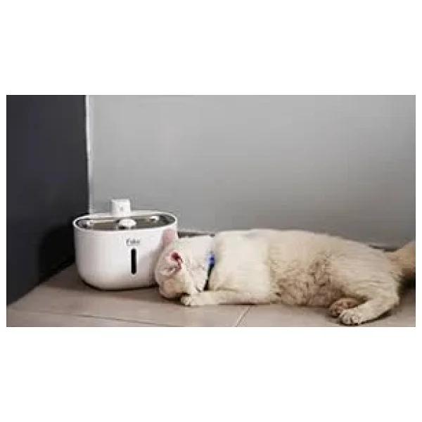 Petpard 3 lt Akılı Kedi Su Pınarı - Görsel 3