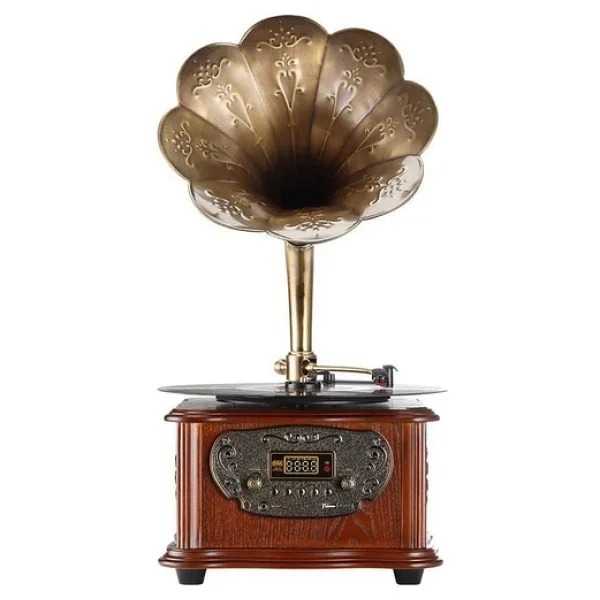 Record Master RMJ-209C FM Radyolu Bluetooth USB Özellikli Gramofon Pikap - Görsel 2