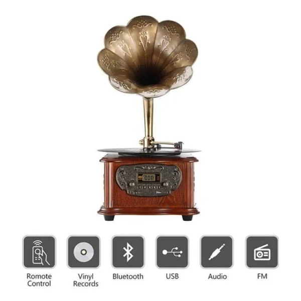 Record Master RMJ-209C FM Radyolu Bluetooth USB Özellikli Gramofon Pikap - Görsel 4