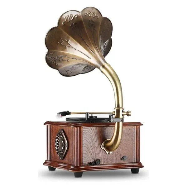 Record Master RMJ-209C FM Radyolu Bluetooth USB Özellikli Gramofon Pikap - Görsel 3
