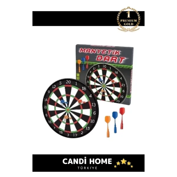 Özel Seri Eğitici Zeka Geliştirici Öğretici Eğlence Aile Manyetik Dart Küçük Boy Çap 33 Cm - Görsel 2