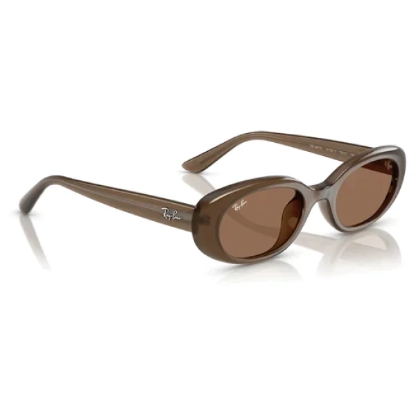 Ray-Ban 4441D 677973 Brown-Dark Brown Güneş Gözlüğü - Görsel 9