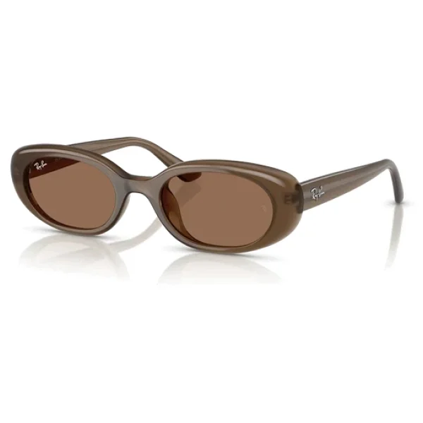 Ray-Ban 4441D 677973 Brown-Dark Brown Güneş Gözlüğü - Görsel 7