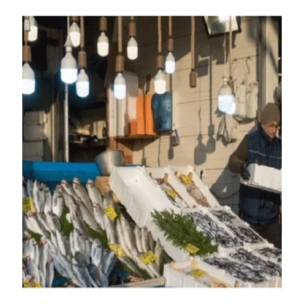 Osram Value Sarı Işık 36 W-182 W E27 LED Ampul - Görsel 7