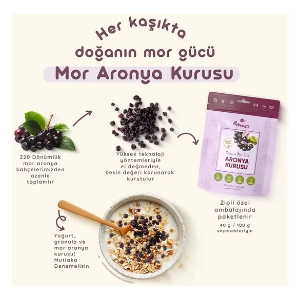 Mor Aronya Kurusu 100 gr - Görsel 2