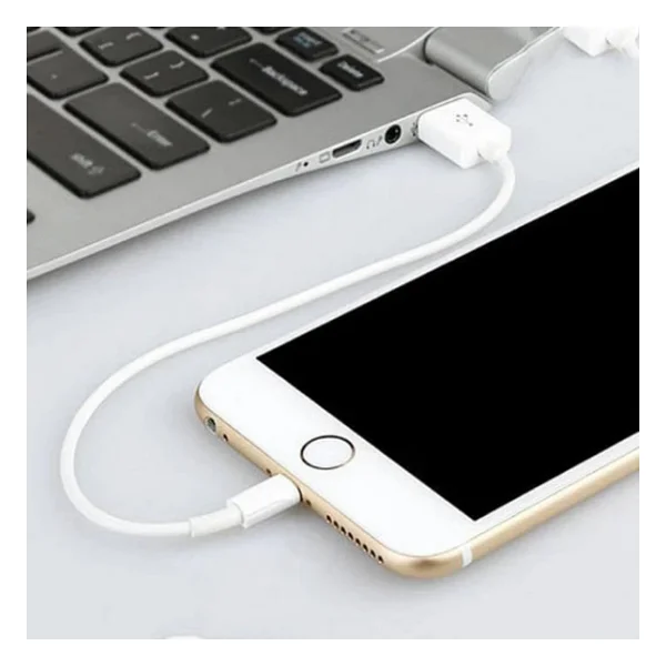 Nettech NT-26 20 cm USB to Lightning Hızlı Şarj Kablosu - Görsel 2