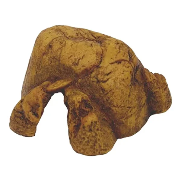 Exo Terra Sürüngen Mağarası Xl - Görsel 5
