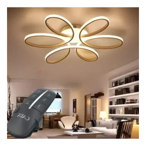 Ct-9151 Avize Kumandası 6X1000w - Görsel 5