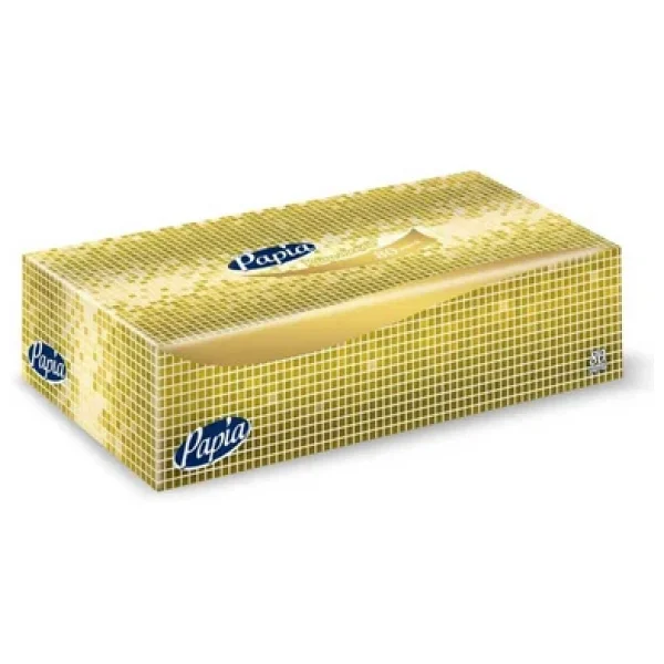 Papia Maxi Kutu Mendil 80 Yaprak x 24 Pkt 5036720 - Görsel 3