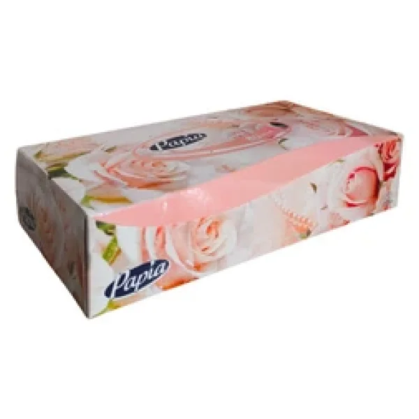 Papia Maxi Kutu Mendil 80 Yaprak x 24 Pkt 5036720 - Görsel 5