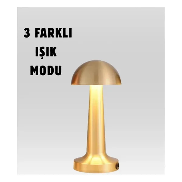 Şarjlı Dimmerli LED Masa Lambası - 4-8 Saat Aydınlatma - Görsel 3