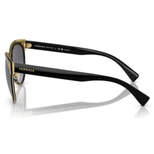 Versace Medusa Charm VE2198 1002T3 Black-Light Grey Polarize Kadın Güneş Gözlüğü - Görsel 6
