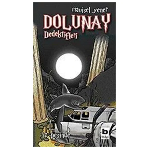 Dolunay Dedektifleri 1 - İz Peşinde - Mavisel Yener - Görsel 6