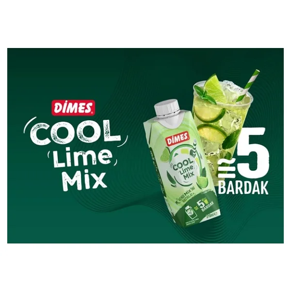 Dimes Cool Lime Özü 310 ml 12'li - Görsel 2