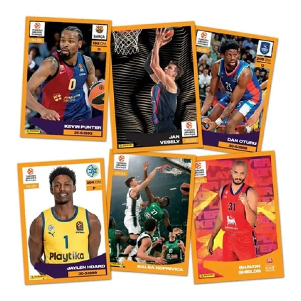 Panini 2024-25 Turkish Airlines EuroLeague Panini Official Sticker Albümü (2 Paket Sticker Hediyeli) - Görsel 5