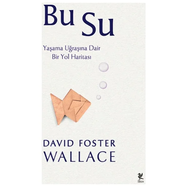 Bu Su - David Foster Wallace - Görsel 3