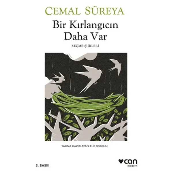 Bir Kırlangıcın Daha Var - Cemal Süreya - Görsel 4