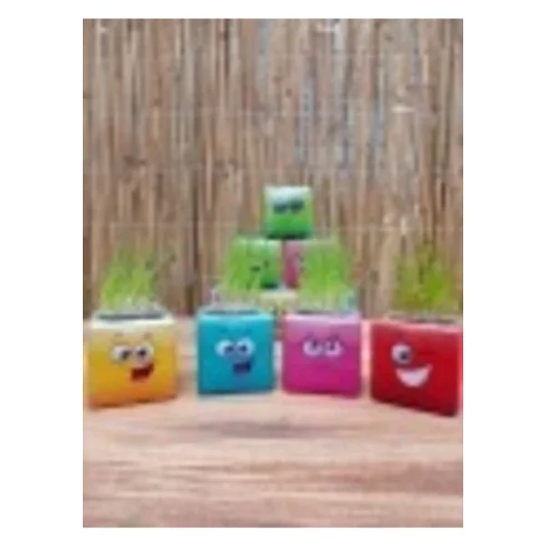 Çimoji Yeni Küp Çim Adam 37Adet Doğum Günü Hediyelik Çim Adam Kreş Aktivite - Görsel 6