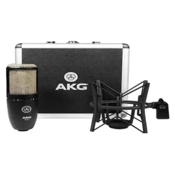 AKG P220 Stüdyo Condenser Mikrofon - Görsel 2