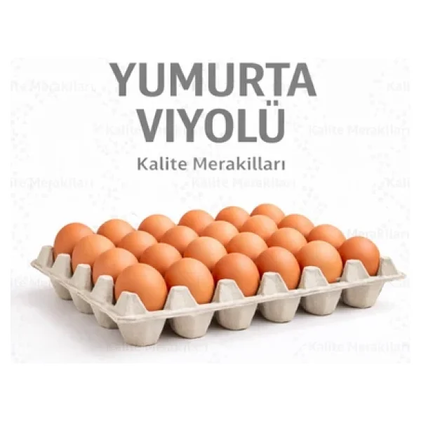 Kalite Meraklıları (393 Adet)30'lu Karton Yumurta Viyolü (393 Adet 17LBS)- Viyol Toptan Premium Kalite Yumurta Kutusu - Görsel 5