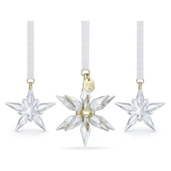 5701628 Swarovski Ev Dekorasyonu Annual Edıtıon:ornament Set 3d 2025 - Görsel 3