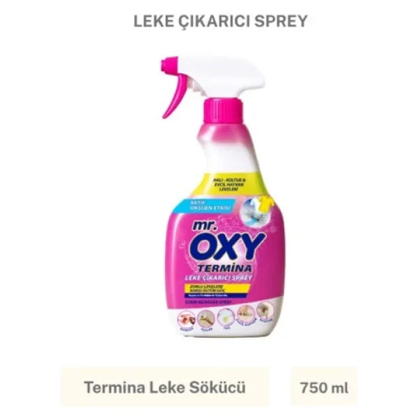 Mr. Oxy Termina Leke Çıkarıcı Sprey 750 ml - Görsel 3