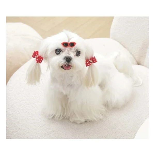 M-Pets Glam Köpekler İçin Aksesuar Toka Red - Görsel 10