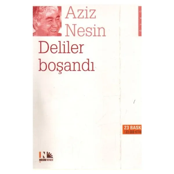 Deliler Boşandı - Aziz Nesin - Görsel 4