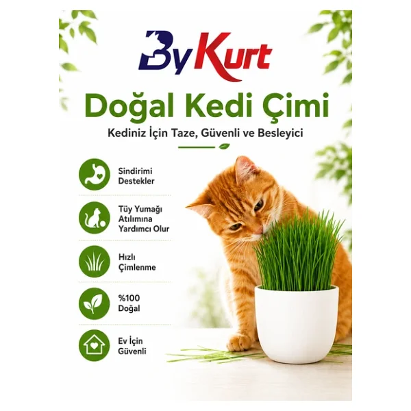 Kedi Çimi Seti Bykurt Doğal Kedi Otu Tohumu Yetiştirme Kabı Toprak Ve Sprey Şişeli Ev İçin Güvenli Kedi Çimi Seti - Görsel 4
