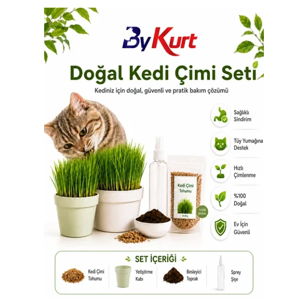 Kedi Çimi Seti Bykurt Doğal Kedi Otu Tohumu Yetiştirme Kabı Toprak Ve Sprey Şişeli Ev İçin Güvenli Kedi Çimi Seti - Görsel 5
