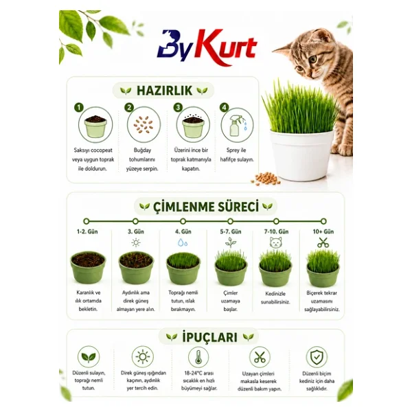 Kedi Çimi Seti Bykurt Doğal Kedi Otu Tohumu Yetiştirme Kabı Toprak Ve Sprey Şişeli Ev İçin Güvenli Kedi Çimi Seti - Görsel 6