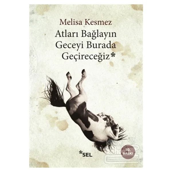 Atları Bağlayın Geceyi Burada Geçireceğiz - Melisa Kesmez - Görsel 7