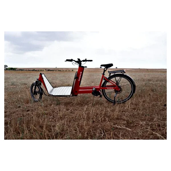 Rhousus Volume Eco Bafang M510 Mid Motor Elektrikli Kargo Bisikleti - Görsel 2