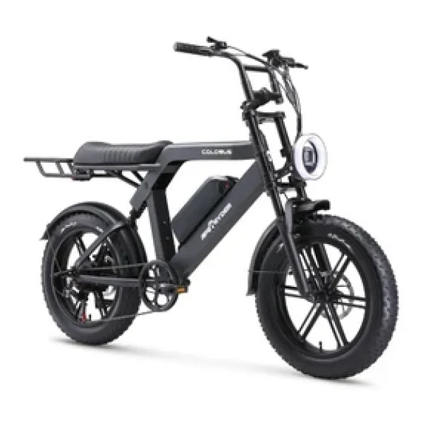 Ape Ryder Colobus Premium 750 W Elektrikli Bisiklet - Görsel 4