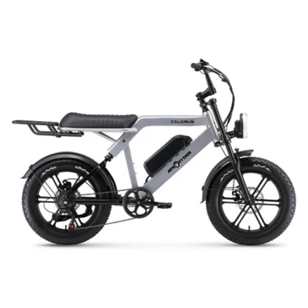 Ape Ryder Colobus Premium 750 W Elektrikli Bisiklet - Görsel 5