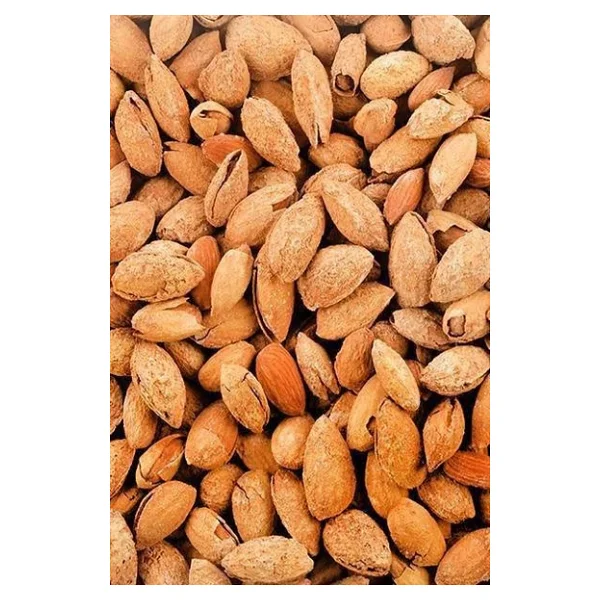 Badem 1 KG ( Kabuklu ) - Görsel 2