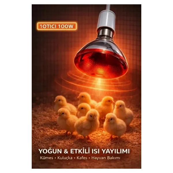 100W Isıtıcı Ampul Kırmızı Isı Lambası Civciv Kümes Kuluçka E27 Duy Isıtma Ampulü ( Lisinya ) - Görsel 5