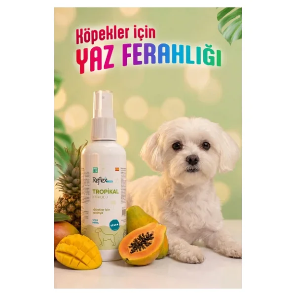 Reflex Care Tropikal Kokulu 125 ml Köpek Kolonyası - Görsel 7