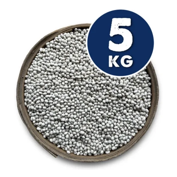 Ispir Fasülye ( Şeker) 5 kg - Görsel 5