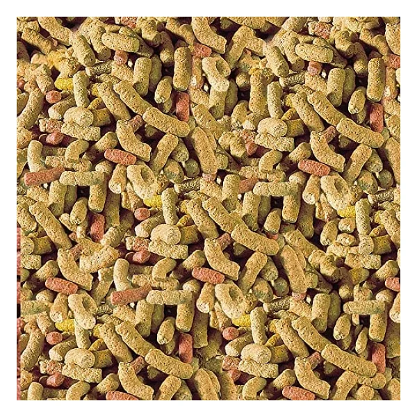 Raffy P Kaplumbağa Yemi 1000 ml 250 gr - Görsel 4