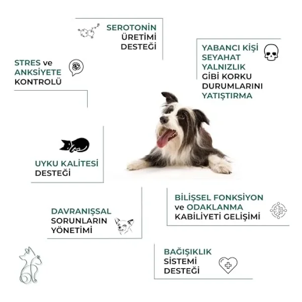 Kahu Naturals Calm Canine Köpekler için Sakinleştirici 60 Tablet Takviye - Görsel 7