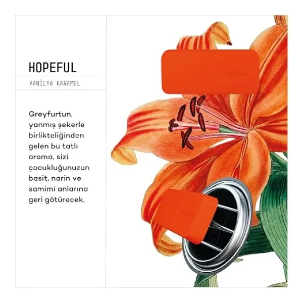 Vavana Hopeful Flat Klima Araba Kokusu - Görsel 2