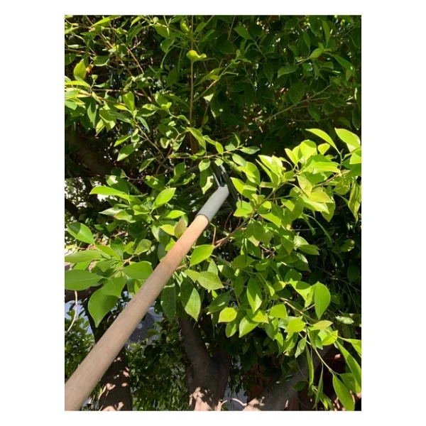 ZB TARIM Zeytin Tırmığı - Vidalı Ve Dişli Zeytin Toplama Tarağı - 1 Adet - Görsel 3