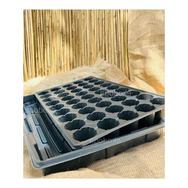 45 Gözlü Fide Viyolü, 5 Cm Derinlikte Tepsi İle 2 Adet Set - Görsel 2
