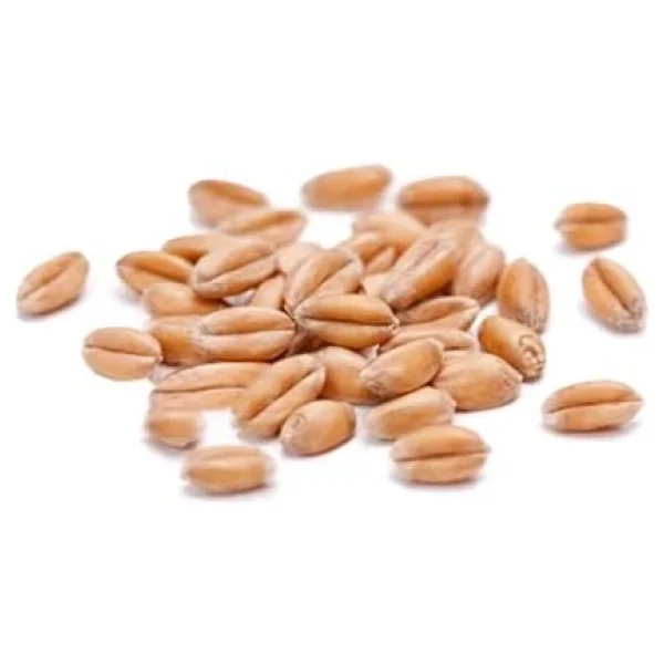 Premium Güvercin Yemi, İpek Değirmen, 3 Kg - Görsel 3