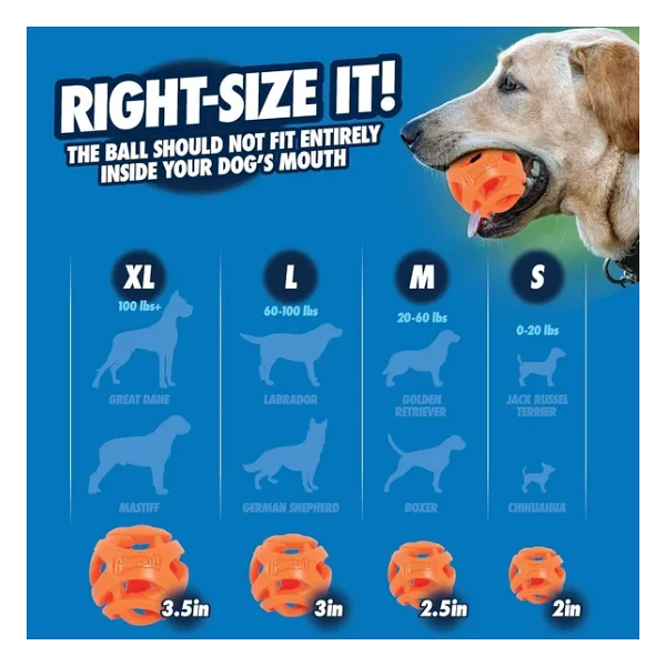 Köpek Oyun Topu Chuckıt! Air Fetch Ball (Orta Boy) - Görsel 9